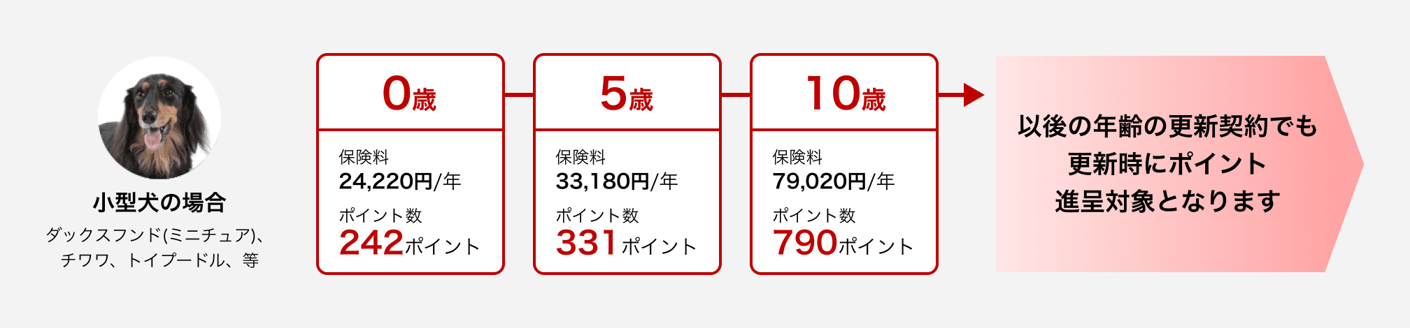 小型犬の場合（ダックスフンド(ミニチュア)、チワワ、トイプードル、等）0歳：保険料24,220円/年 ポイント数242ポイント→5歳：保険料33,180円/年 ポイント数331ポイント→10歳：保険料79,020円/年 ポイント数790ポイント→以後の年齢の更新契約でも更新時にポイント進呈対象となります