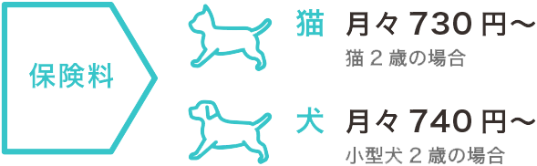 お手頃な保険料